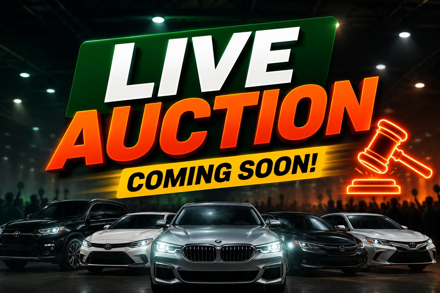 ImportHub live auctions coming soon