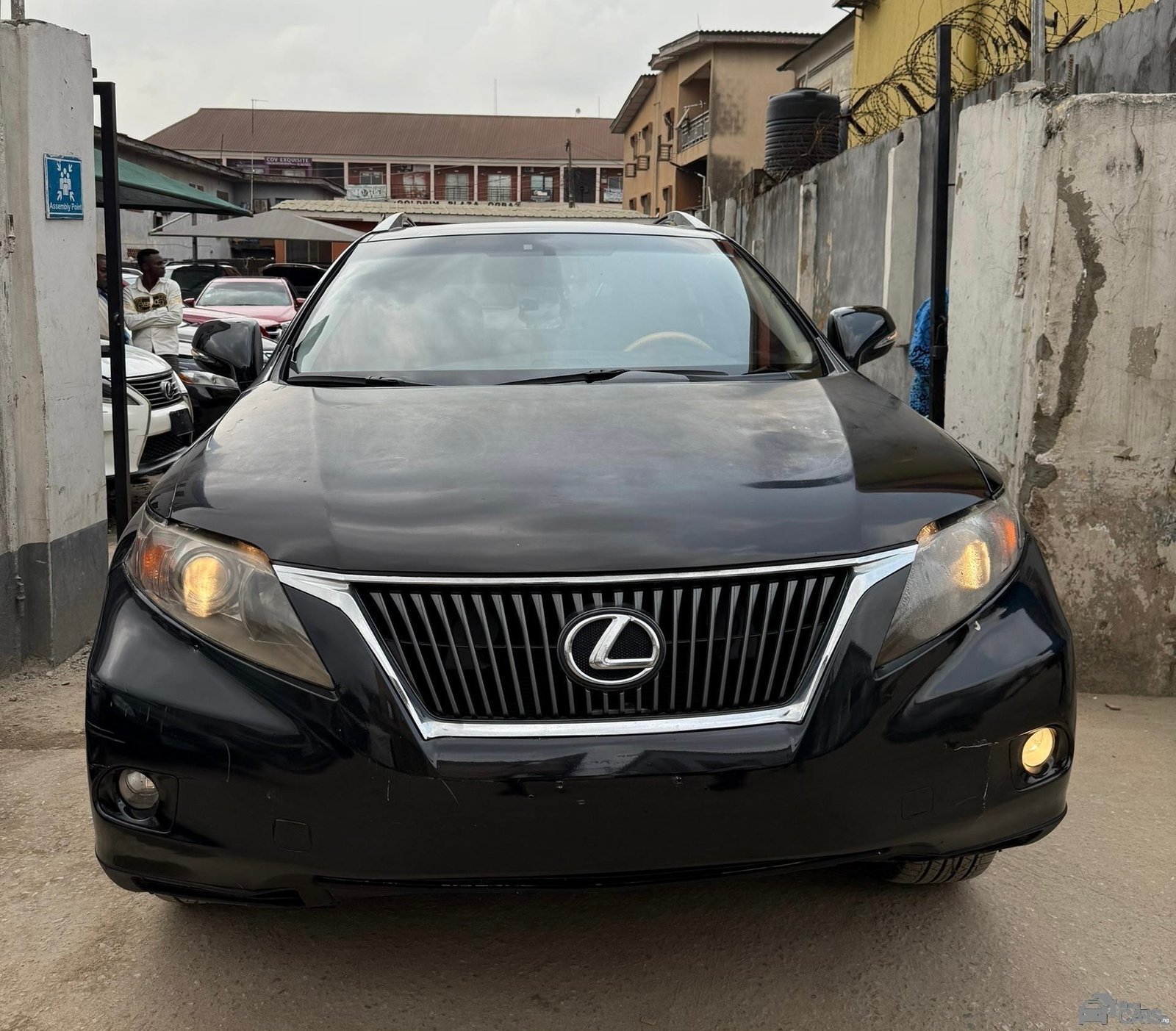 Lexus Cars automobile