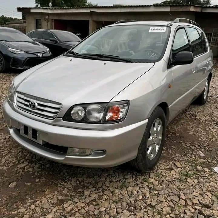 Unknown Toyota picnic